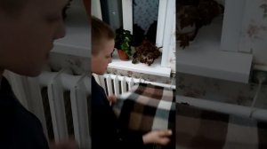 Как сделать инкубатор для цыплят в домашних условиях