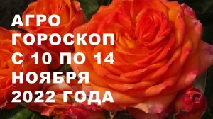 Агрогороскоп с 10 по 14 ноября 2022 года