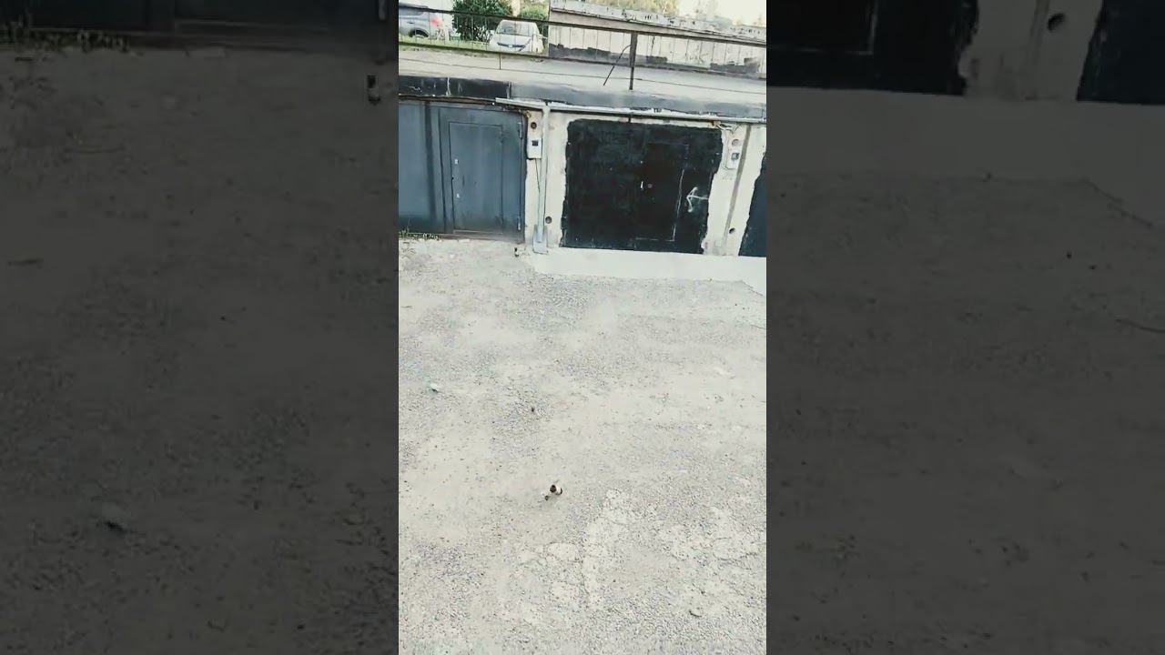 (Новый шаблон для хейта) Я/Ютубер/Картинка бросает бутылки в Хейтера/Ютубера/Картинку смотреть онлайн