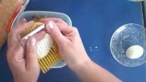 Рецепт: Грибная икра с яйцом и зеленым луком