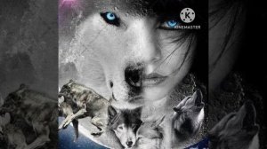 ВИКТОР МОГИЛАТОВ  ВОЛЧИЦА