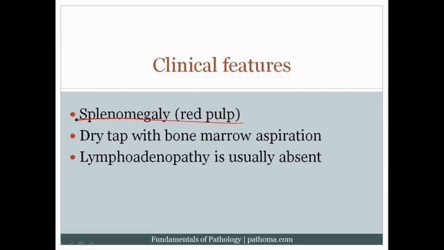 Pathoma USMLE - VI ГЛАВА - 3.Хронический лейкоз