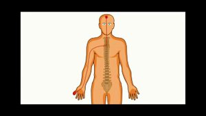 Эллиот Крейн_ Тайна хронической боли
