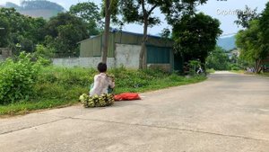 Orphan Life - Go To The Forest Picking Wild Fruits And Bananas For Sale #boy #survival