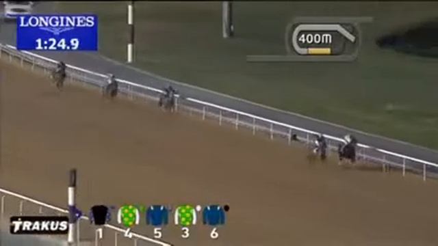 04.12.2014 Meydan (Dubai-UAE) 1.Race Longines Conquest Classic - Kondition 1.600 m смотреть онлайн