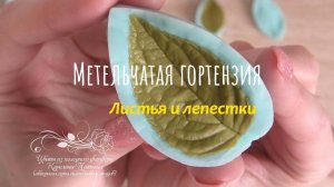 Метельчатая гортензия. Фактура на глине