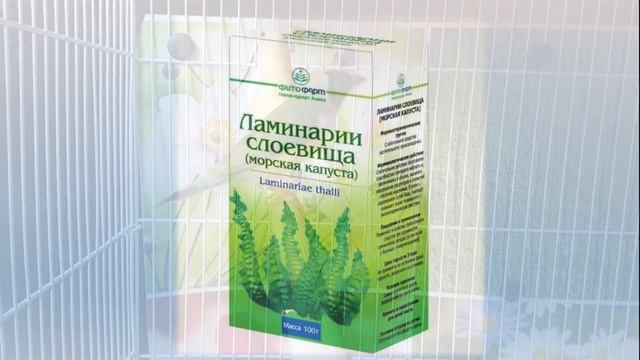 Лысая голова амадины #алопеция