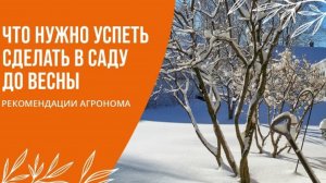 ЧТО НУЖНО УСПЕТЬ СДЕЛАТЬ В САДУ ДО ВЕСНЫ/ РЕКОМЕНДАЦИИ АГРОНОМА