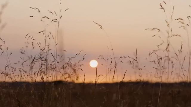 НИКОГДА НЕ ПРОЩАЙ, НЕ ДАВАЙ ВТОРОЙ ШАНС ЖЕНЩИНЕ, КОТОРАЯ СОВЕРШИЛА ЭТИ ДЕЙСТВИЯ В ОТНОШЕНИЯХ смотреть онлайн