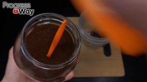 ТЛЯ БОИТСЯ ЭТОГО СИЛЬНЕЕ ОГНЯ! Супер Лучшее Средство от Тли Без Химии!