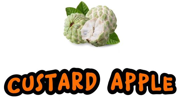 Fruits Names || alpha kids special Tv || apple banana || grapes || kids education || #abcd #kids