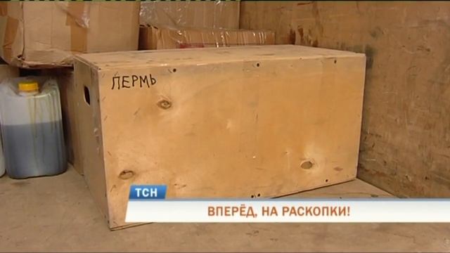 В Пермском крае ученые возобновили раскопки древнего слона смотреть онлайн