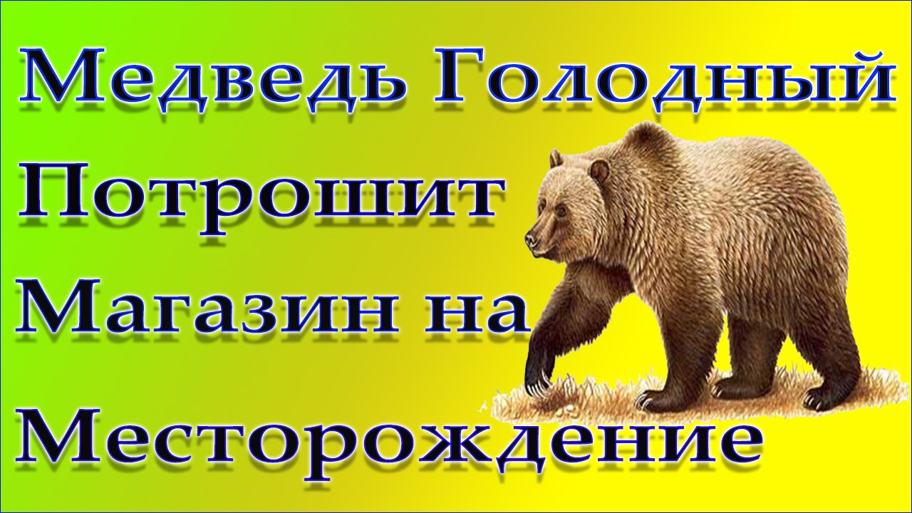 Медведь на вахте. Медведь на месторождении. Медведь на зимней вахте. Медведь на Южно-русском месторождении.