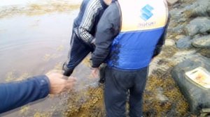 Карелия - д . Поньгома - Июль 2021