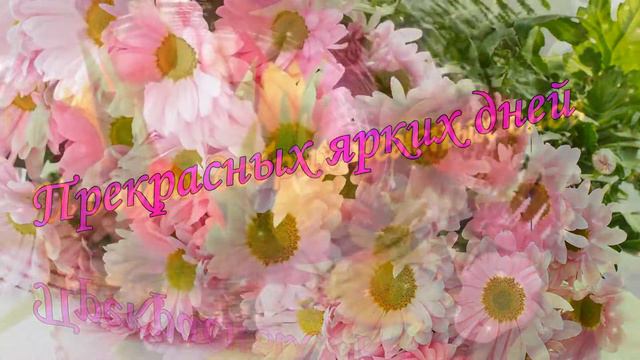 Цветочное шоу смотреть онлайн