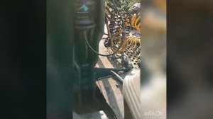 замена подушек кабины и заодно глушитель IVECO stralis