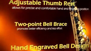 Yamaha YAS-875EXB Custom Ex Eb Alto Saxophone, V1 Hand Made Neck, Black Lacquered