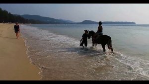 КАТАНИЕ НА ЛОШАДЯХ на Пхукете, лошади на пляже | HORSE RIDDING at PHUKET