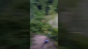 На рыбалке ловля карпа на кокурузу и корвалол.