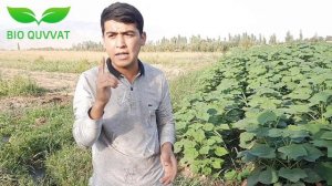 БИЗНЕСИ ПАВЛОВНИЯ ДАР ТОЧИКИСТОН | 2-юм кисм | Маълумотхои пурра | +992 904454056