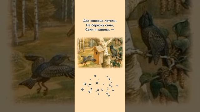 Два скворца | И. Муравейко