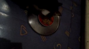 ЧЕМ КОРМИТЬ КОТА. ДОМАШНЯЯ ЕДА ДЛЯ КОТА. ЗА 5 МИНУТ ВАРИМ  КАШУ ДЛЯ КОТА.