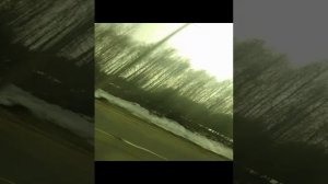 🐽🦄🦩🌸🌷💮🌺🪱🍑