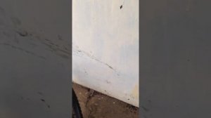 КОЛЁСА Мотоцикла Минск М 103, М 104, М 105.