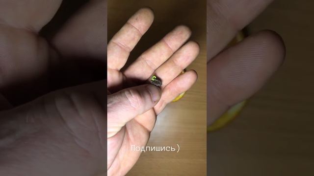 Как растёт 🍊) смотреть онлайн