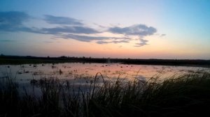 Охота на уток _ лучшие моменты с открытия _ осень 2021!.mp4