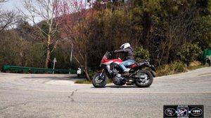 zongshen cyclone rx6 650