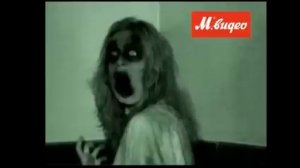 бешеная женщина - звонок в М.видео