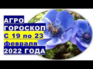 Агрогороскоп с 19 по 23 февраля 2022 года