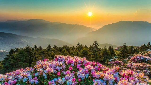 Красивая музыка?✨