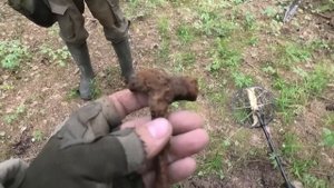 Нашли старое поселение глубоко в лесу. Коп с Manticore и Deus 2.