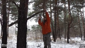 Цепная |Складная |Лучковая пила - что выбрать