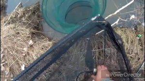 Киприно. Открытие сезона жидкой воды.