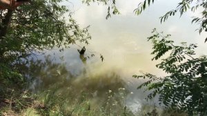 Супер Рыбалка на БОКОВОЙ КИВОК Ловля на боковой кивок карпа на горох Летняя мормышка