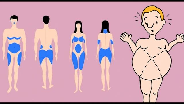 КАК ПРОИСХОДИТ ПОХУДЕНИЕ НА КЛЕТОЧНОМ УРОВНЕ | ГЛАВНЫЕ ПРИНЦИПЫ!!! смотреть онлайн