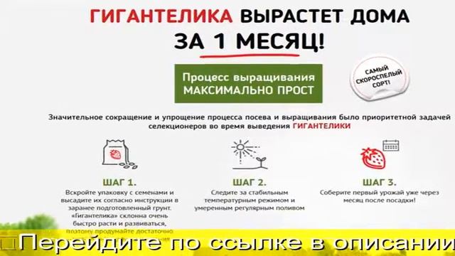 Гигантелла Клубника смотреть онлайн