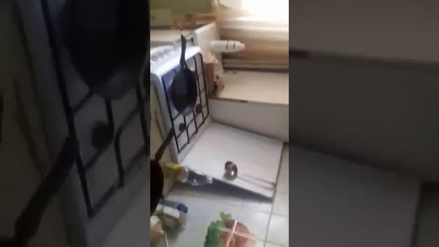 Пацан поджог квартиру. Эксперимент масло и вода смотреть онлайн