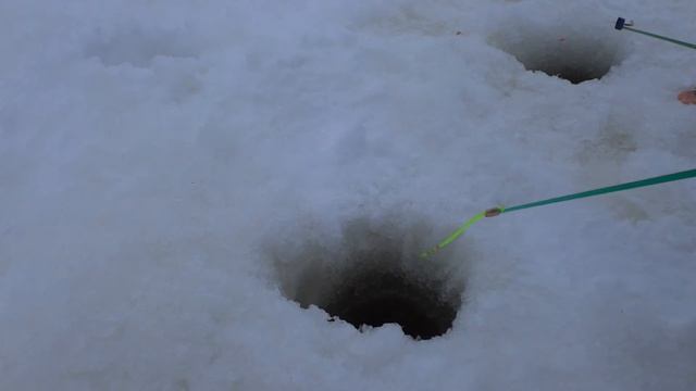 Рыбалка пошла не по плану 24.01.2021 Гремиха смотреть онлайн