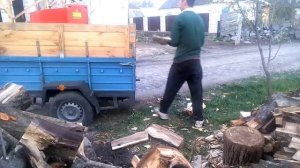 Веткорез в работе