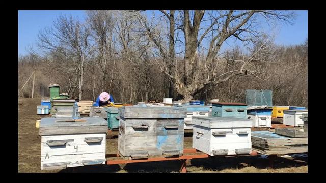 Стрим, Добрый вечер, Друзья 18.04.2021 попытка номер 3 смотреть онлайн