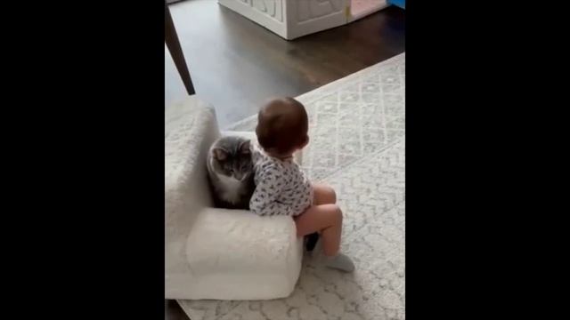 ДЕТИ И КОТЫ :  ))