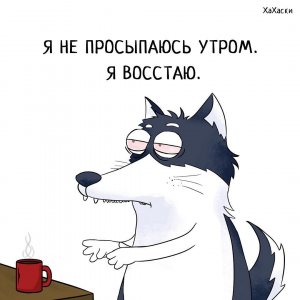 СОН НОРМАЛИЗОВАЛСЯ. ЭНЕРГИИ ПОЛНО. НАСТРОЕНИЕ ОТЛИЧНОЕ!