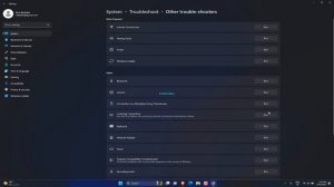 4 Fix Microsoft Store error 0x800704C6 on Windows 11