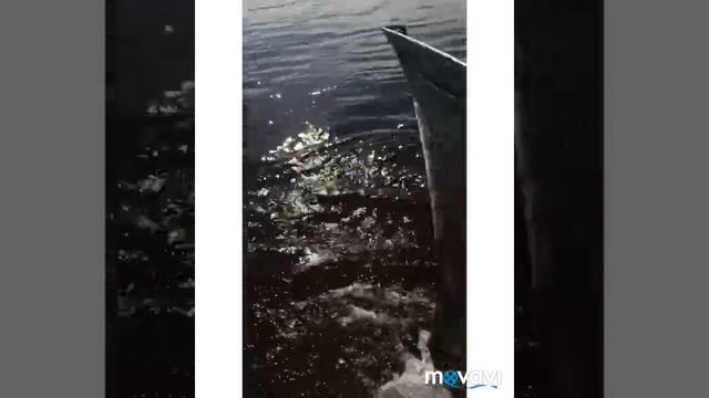 Обь район село Каменное Рыбалка смотреть онлайн