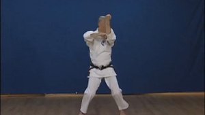 ВАДО - РЮ   КАРАТЭ  КАТА    ....  Jiro Otsuka sensei   Naihanchi  !!! ..