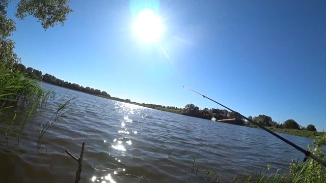 Ловись, рыбка, большая и маленькая! смотреть онлайн